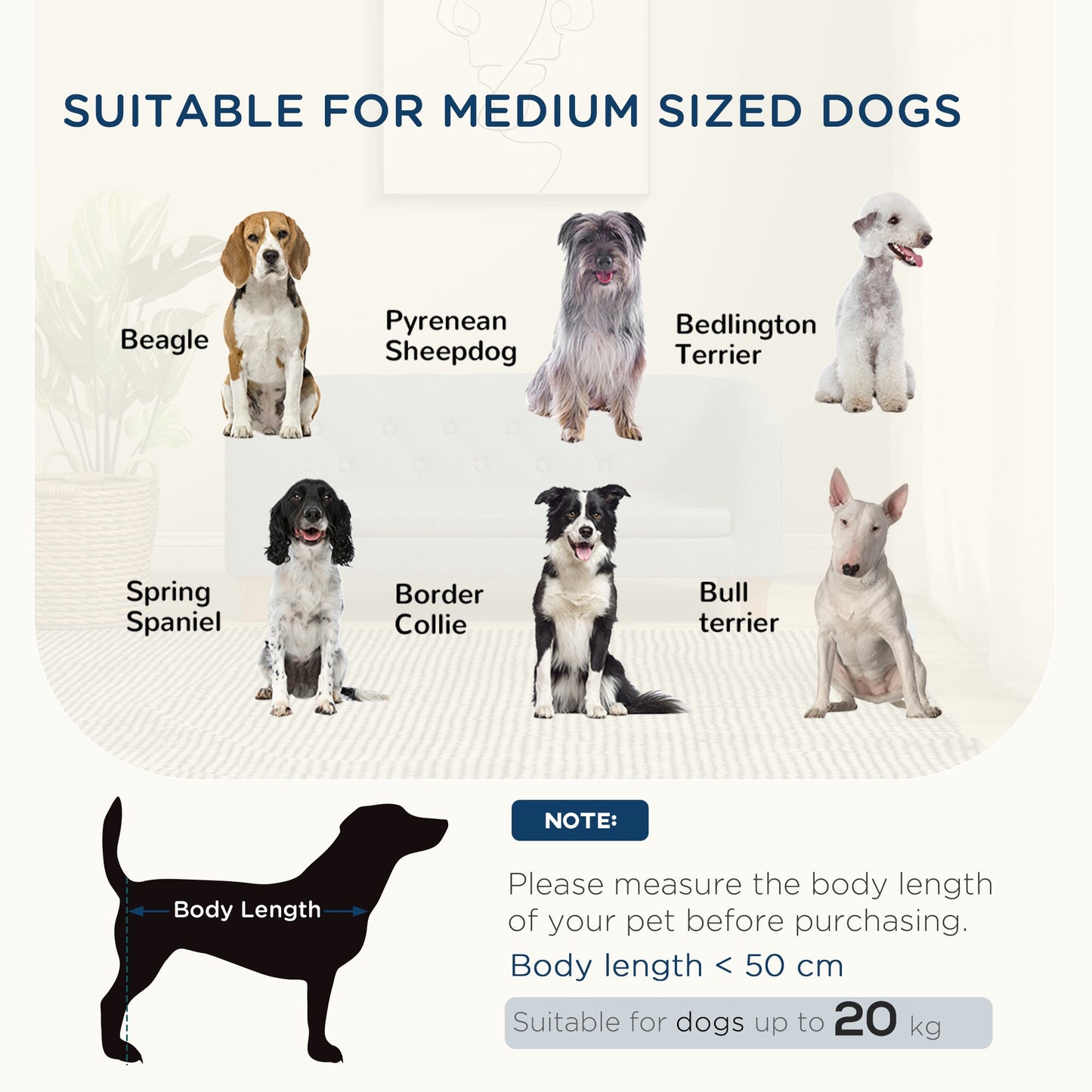 Dog Sofa Bed, Elevated Dog Couch for Small and Medium Dogs, with Soft Cushion, Removable and Washable Cover, Anti-slip Pads, Grey-3