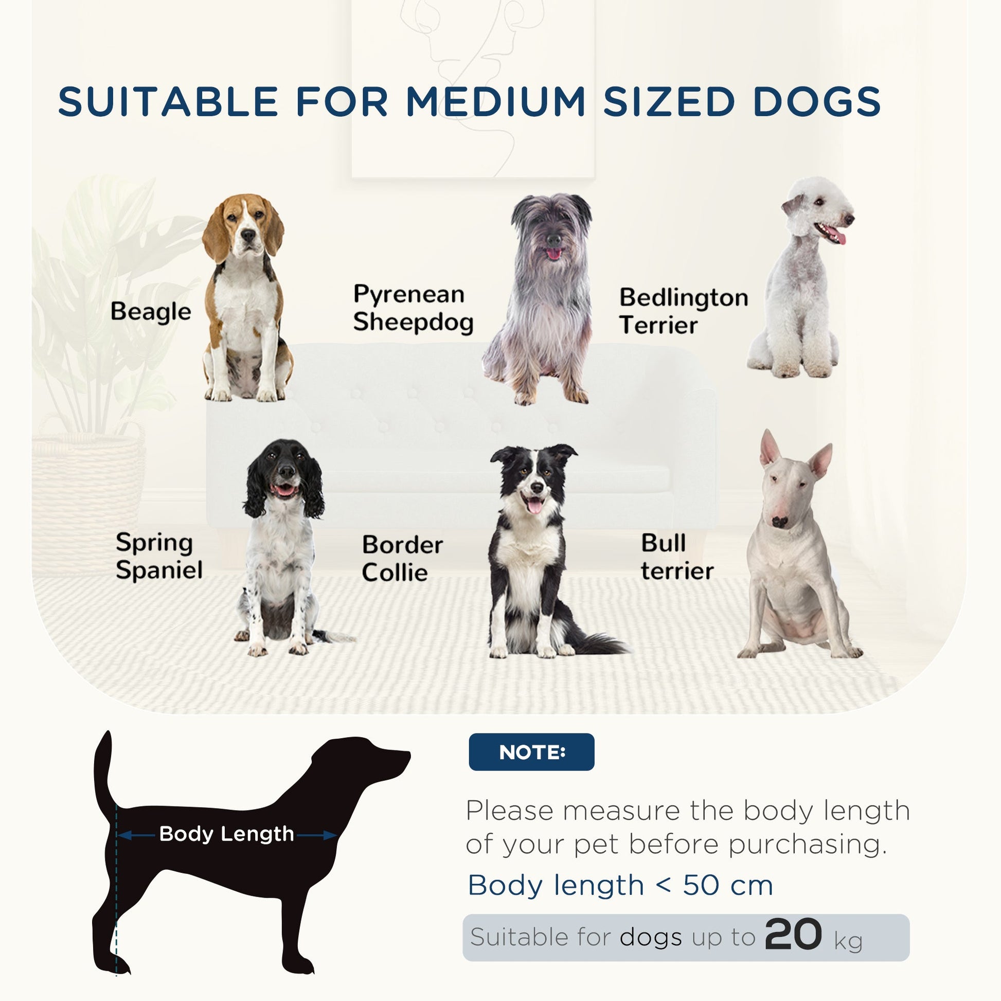 Dog Sofa Bed, Elevated Dog Couch for Small and Medium Dogs, with Soft Cushion, Removable and Washable Cover, Anti-slip Pads, Grey-3